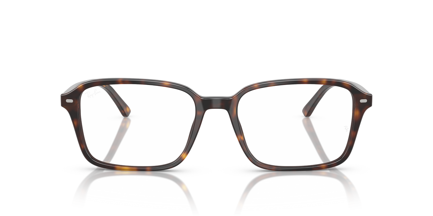 RAIMOND RX5431
