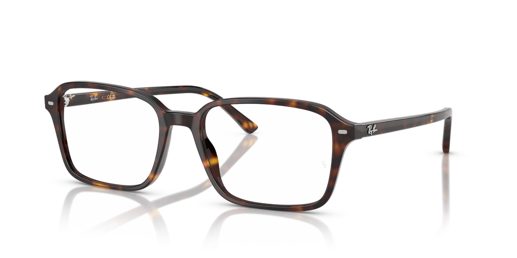 RAIMOND RX5431