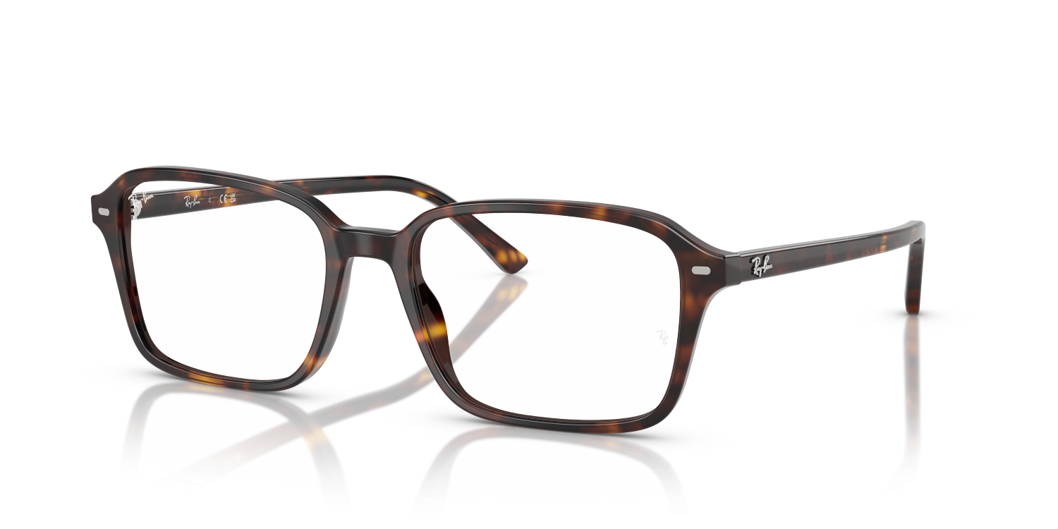 RAIMOND RX5431