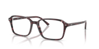 RAIMOND RX5431