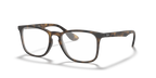 RX7074