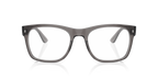 RX8777D