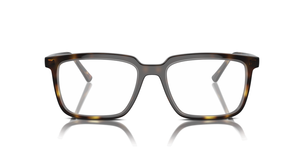 WILLIAM TITANIUM RX8797