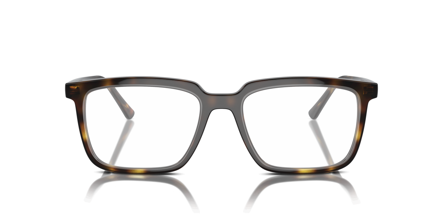 WILLIAM TITANIUM RX8797