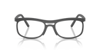 RX7254