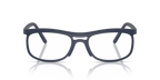 RX7254