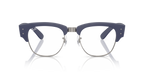 RX7316V