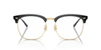 RX7318D